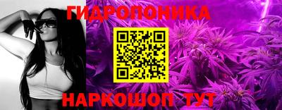 mdpv Краснознаменск