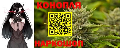 mdpv Краснознаменск