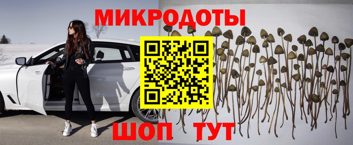 Галлюциногенные грибы Psilocybe Каменка