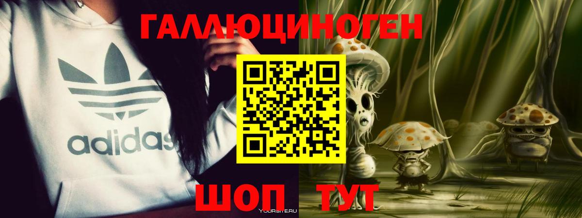 Псилоцибиновые грибы GOLDEN TEACHER  Вход с VPN  Псилоцибиновые грибы мухоморы  Каменка 
